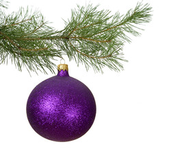 christmas branch with violet bauble