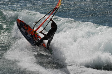 windsurfer 59