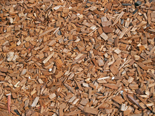 brown textures of wood shaves