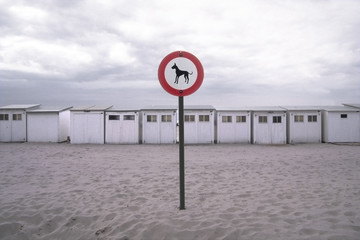 knokke