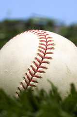 baseball on grass and blue sky
