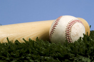 baseball on grass with bat against blue sky