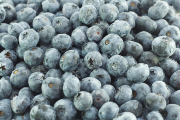 blueberries