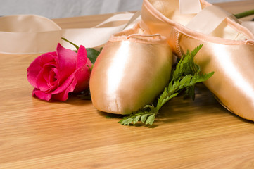 ballet slipper - shoes with rose © Michael Flippo