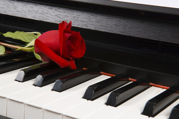 sheet music with rose on piano