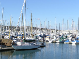 Obraz premium marina on san diego bay