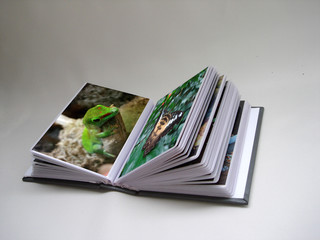 photo-album with two images