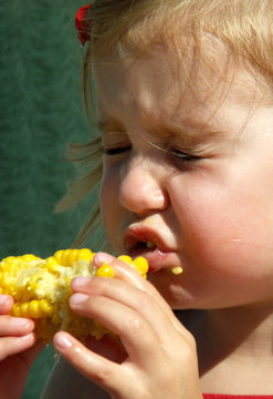 Litle Girl Eating Corn On The Cob