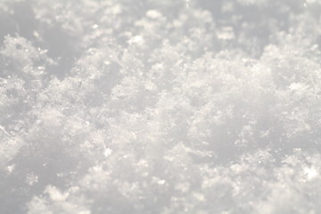 snow surface