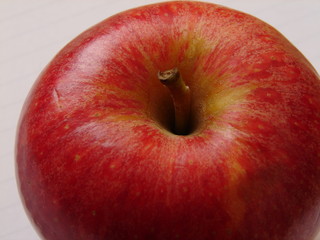 apple macro