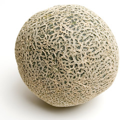 single cantaloupe