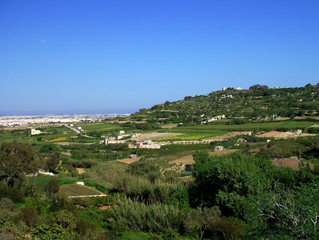 Obraz premium fields