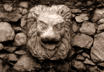 Fototapeta na wymiar lionface