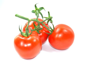 tomaten mit stengel