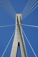 dr. frank tudman's bridge