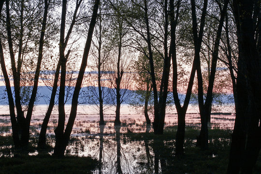 lake of sevan - morning