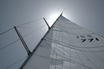 Fototapeta premium sun sailutation