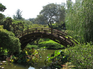 bridge