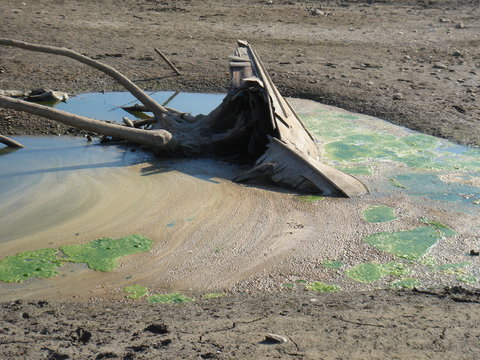 epave d'une barque