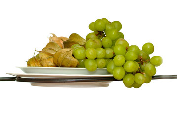 weintrauben * vine