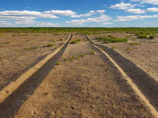 Naklejka premium tracks on sand
