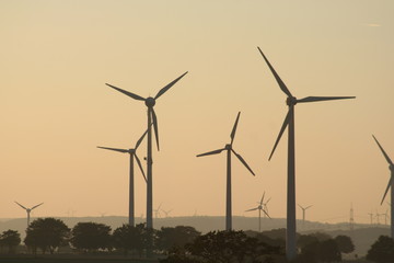 windräder im abendlicht