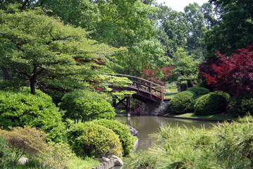 japanese bridge
