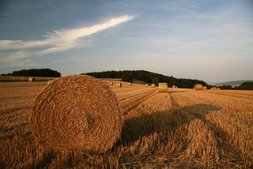 strohrollen