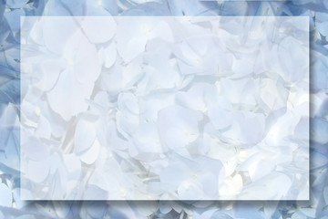 spring background 5