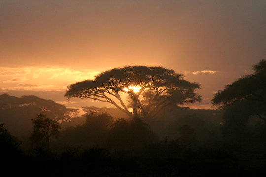 Fototapeta coucher de soleil