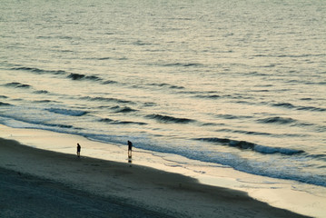 beachcombers walking on beach at sunrise