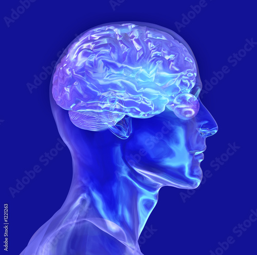 glass male head with brain