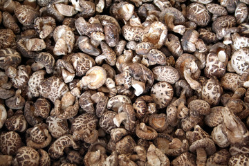 dried chinese mushrooms