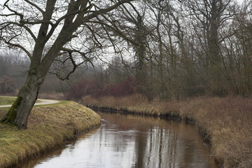 walking path along the bank of a curvy river