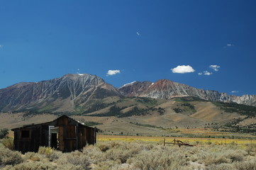 remote cabin