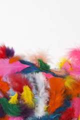feathers