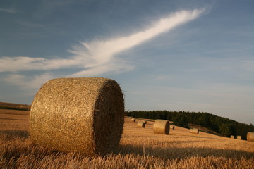 strohrollen