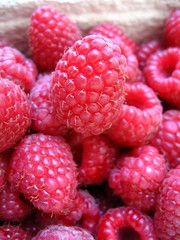 raspberries