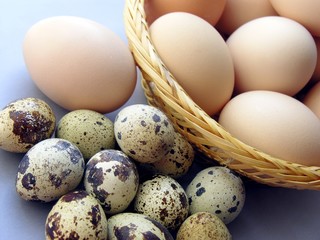 various eggs