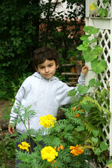 the boy in a garden.