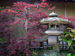 Gordijnen Japanse tuin © Yury Zap