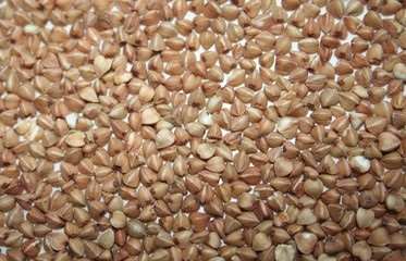 healthy buckwheat