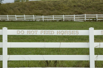 do not feed the horses