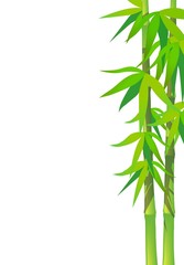 Naklejka premium bambusowe liście na puste
