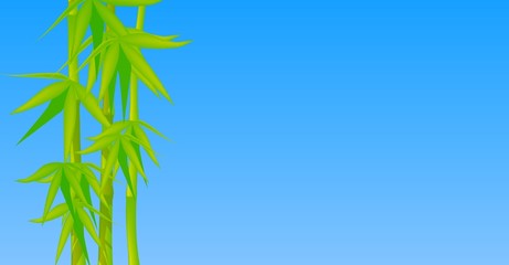bamboo on blue