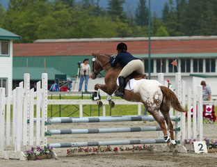 competition