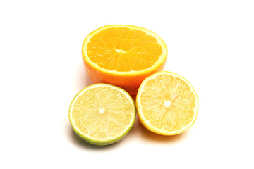 citrus group