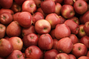 Fototapeta na wymiar lots of apples
