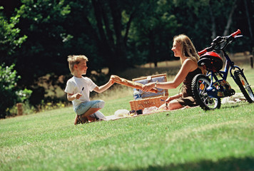 famille picnic