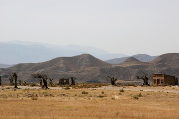 Fototapeta na wymiar wüste w Almería